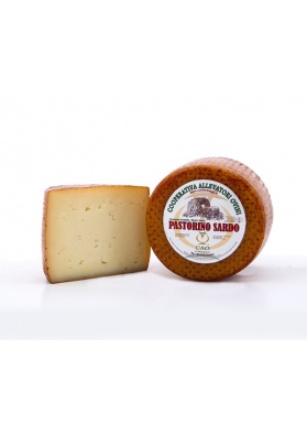 Sheep Sardinian cheese - pecorino Pastore Sardo CAO 