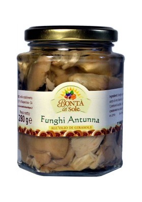 Funghi antunna-280 gr.