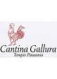 Cantina di Gallura - Vino di Sardegna